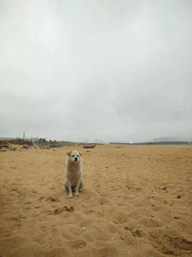 威海旅游攻略第二条，最全威海旅游攻略