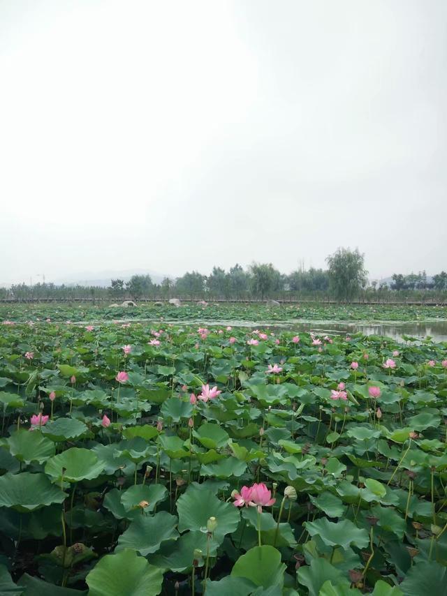 威海旅游攻略第二条，最全威海旅游攻略