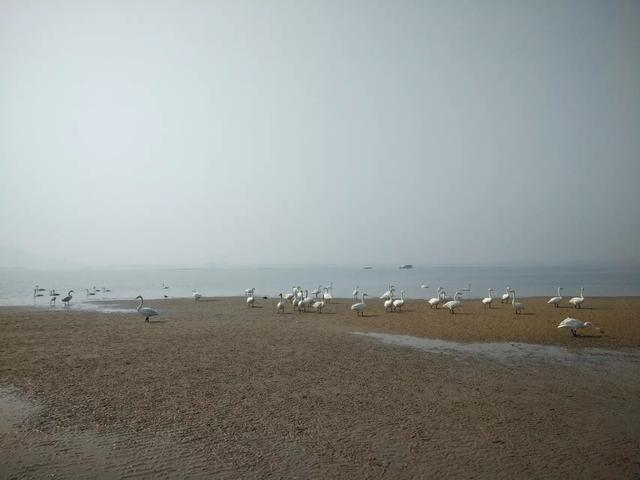 威海旅游攻略第二条，最全威海旅游攻略