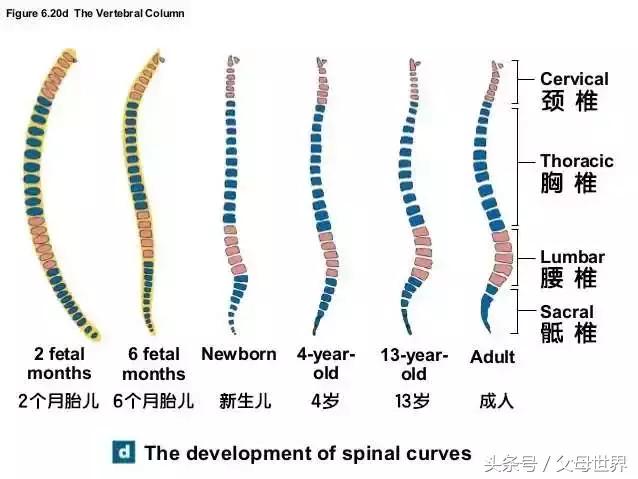 儿童枕头不受压高度多少最合适，孩子睡不好还影响健康