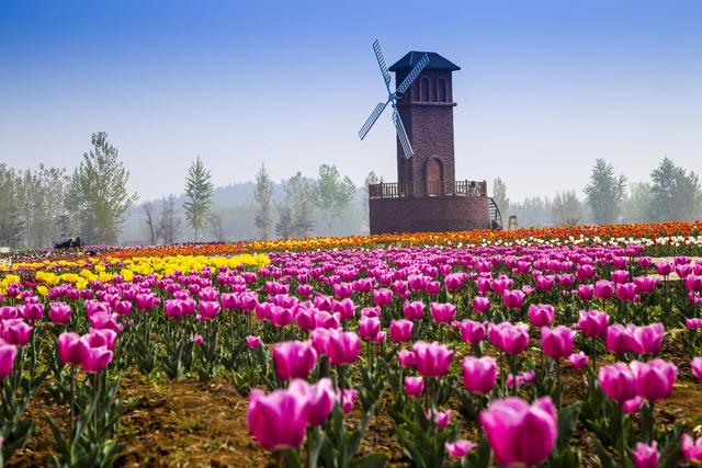 山东各地级市介绍，山东省十六地市面积和人口排名