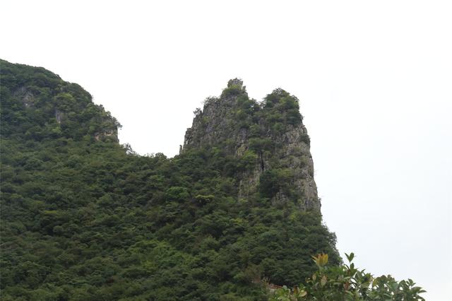 实用型巫山攻略游记，巫山一日游（绝美红叶大片和出游攻略请查收）