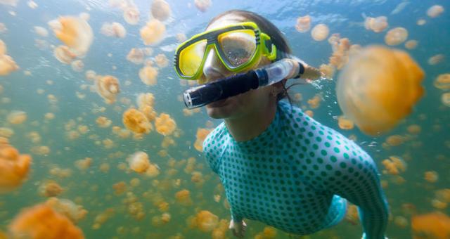 世界上最毒的水母，十种危险水母（澳大利亚箱形水母为什么会是全球最毒生物）