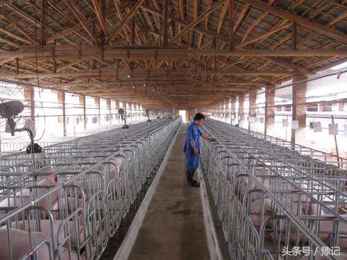 河南最大的花生地，河南一个小县城凭啥成为