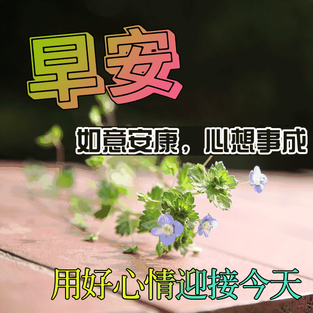早晨好表情文字，早晨好祝语