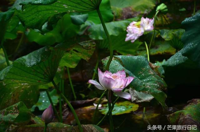 广东丹霞山十佳旅游地，韶关十大著名景点