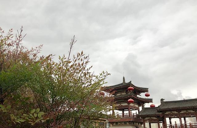 西安四月秦岭西寺沟紫荆花海，有山有水有你有我有爱