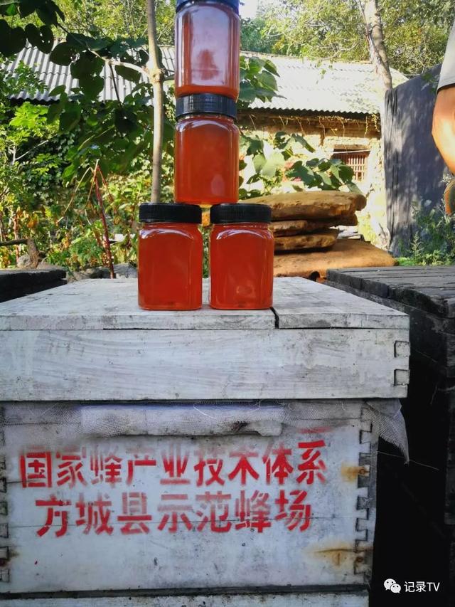 蜂蜜养蜂最新配方，告诉你天然丹参蜜
