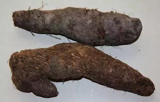 客家特产炸芋圆等，那些全南人“炸”出来的客家美食