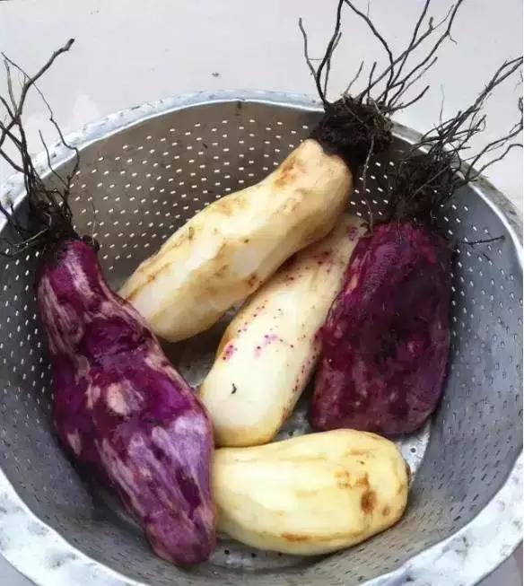 客家特产炸芋圆等，那些全南人“炸”出来的客家美食