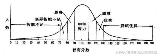 家庭教育如何培养孩子智力，亲子教育孩子的智商评估