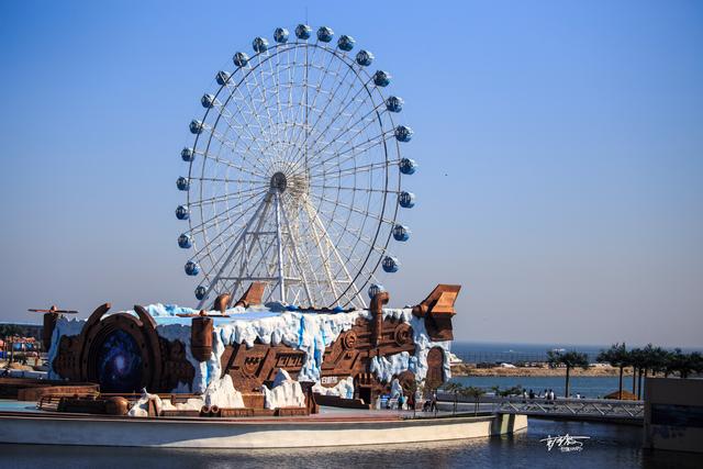 海豹跟海狮的区别图片，如何区分海狮海豹和海狗（海豹与海狮傻傻分不清）