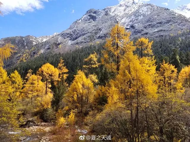 黄龙旅游集散中心，阿坝州自驾游攻略秋天