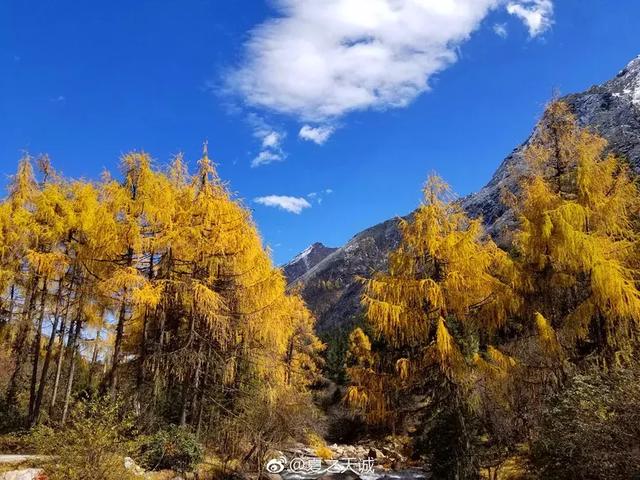 黄龙旅游集散中心，阿坝州自驾游攻略秋天