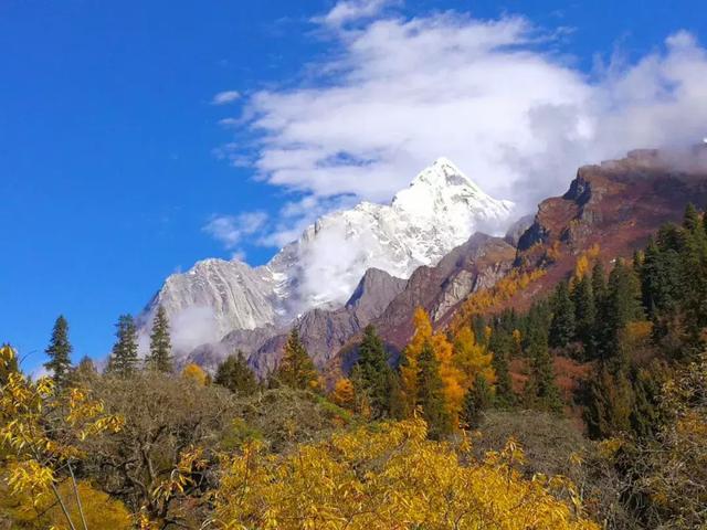 黄龙旅游集散中心，阿坝州自驾游攻略秋天