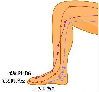 三阴交穴位准确位置与功效，每日一穴位三阴交穴