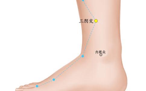 三阴交穴位准确位置与功效，每日一穴位三阴交穴