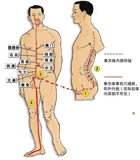 三阴交穴位准确位置与功效，每日一穴位三阴交穴