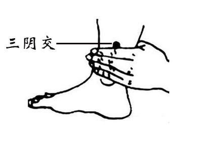 三阴交穴位准确位置与功效，每日一穴位三阴交穴