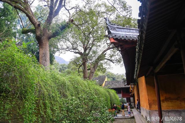 浙江天台山的国清寺，最具禅意的千年古刹