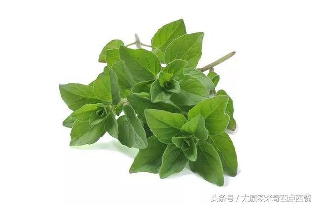 简单而又充实的西餐，带你认识10种西餐盘子里的那些