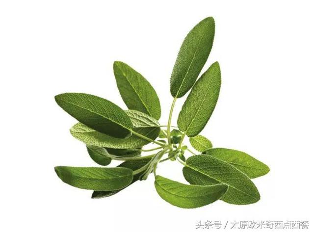 简单而又充实的西餐，带你认识10种西餐盘子里的那些