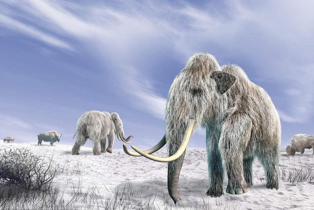 新仙女木事件可能再次发生吗，惊人的新仙女木事件会重演吗