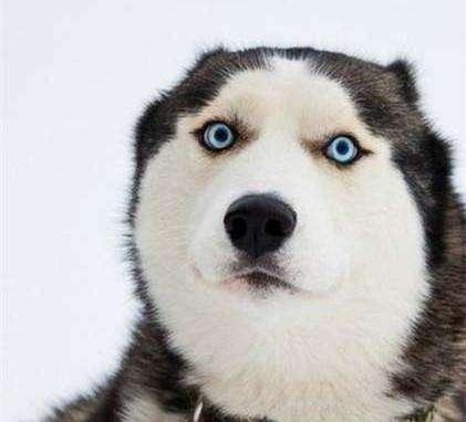 潘多拉手链的寓意，潘多拉手链的寓意是什么（讲故事的潘多拉手链到底算不算珠宝）