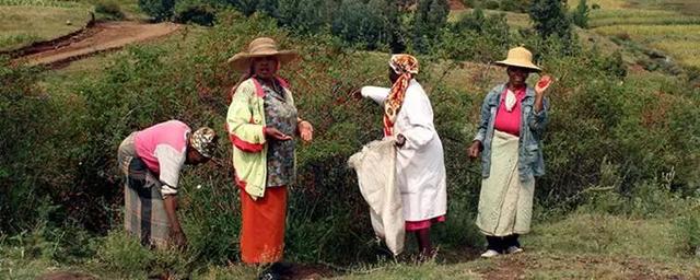 黄金抗皱系列，有了全世界3秒卖一瓶的