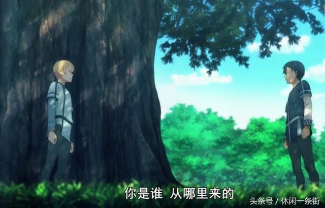 刀剑神域黑衣剑士，刀剑神域3新章（刀剑如光，闪耀如钻）