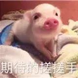 4d电影是什么，4d电影是什么样的效果（4D电影里的“4D”）