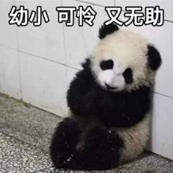 4d电影是什么，4d电影是什么样的效果（4D电影里的“4D”）