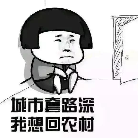 4d电影是什么，4d电影是什么样的效果（4D电影里的“4D”）