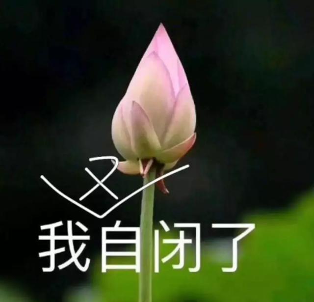 4d电影是什么，4d电影是什么样的效果（4D电影里的“4D”）