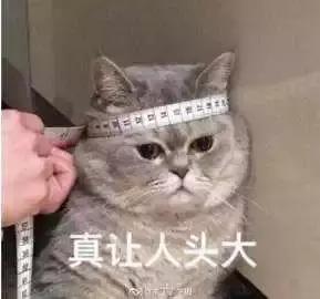 4d电影是什么，4d电影是什么样的效果（4D电影里的“4D”）