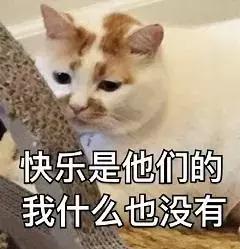 4d电影是什么，4d电影是什么样的效果（4D电影里的“4D”）