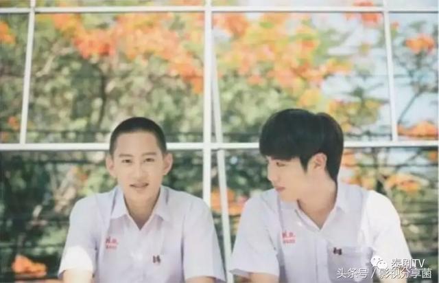 很甜的泰剧推荐一下，一定不能错过的10部热门泰国BL腐剧大合集