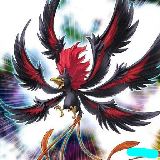 现存最接近凤凰的鸟,上古十大神鸟凤凰排第四 现存最接近凤凰的鸟,上古十大神鸟凤凰排第四