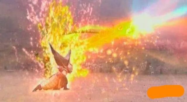 现存最接近凤凰的鸟,上古十大神鸟凤凰排第四 现存最接近凤凰的鸟,上古十大神鸟凤凰排第四