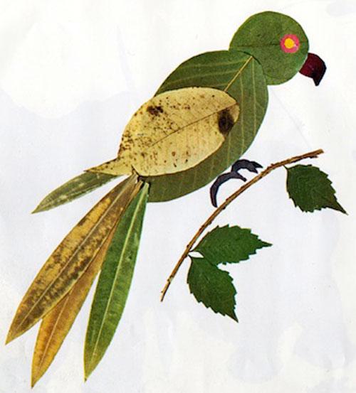 动物叶子画手工简单又好看，22款树叶创意动物画