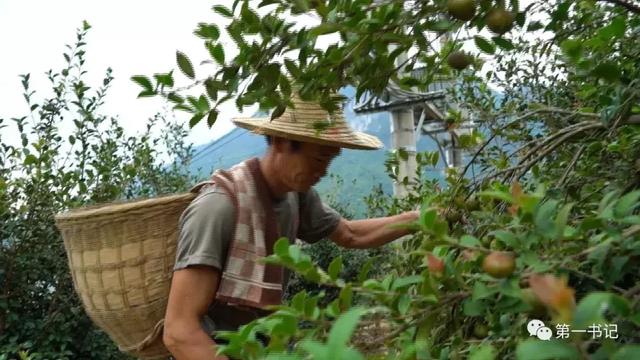 红水河第一湾旅游攻略，红水河第一弯美得如此低调