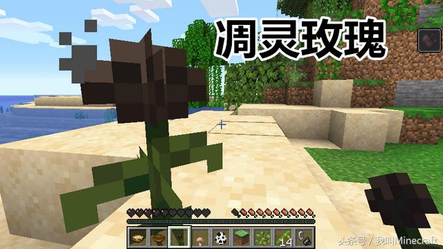 我的世界1.16找到掠夺者哨塔，在《我的世界》里这些神奇种子是真实存在的吗