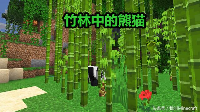 我的世界1.16找到掠夺者哨塔，在《我的世界》里这些神奇种子是真实存在的吗