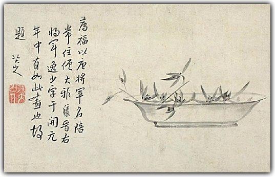 好听且不常见的字，一些清净的字收藏