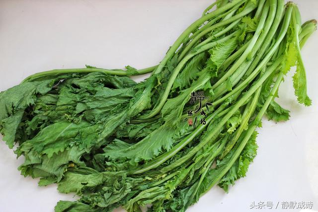家常腌菜各种做法，红遍大江南北的深秋腌菜