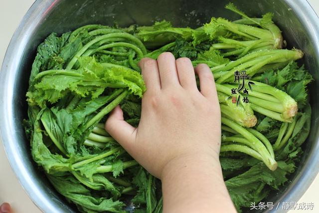 家常腌菜各种做法，红遍大江南北的深秋腌菜