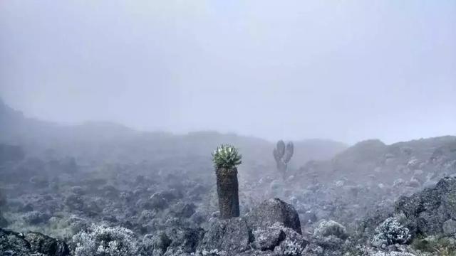 乞力马扎罗山海拔多少，海拔5895米的乞力马扎罗