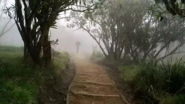 乞力马扎罗山海拔多少，海拔5895米的乞力马扎罗