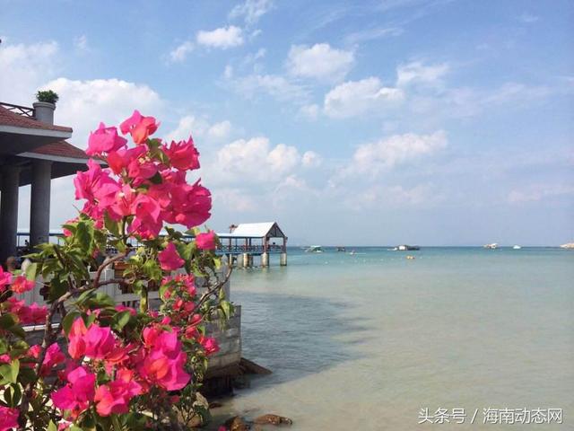 海南适合住宿的民宿，三亚新增14家“铜宿级”民宿