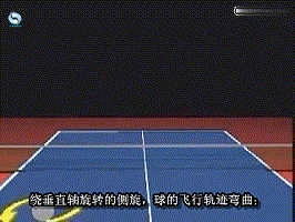 乒乓球打法与技术图示，乒乓球的入门精华